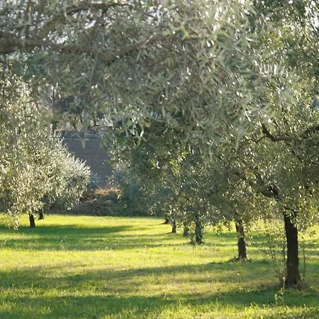 Casolare Santa Margherita Ferienhaus